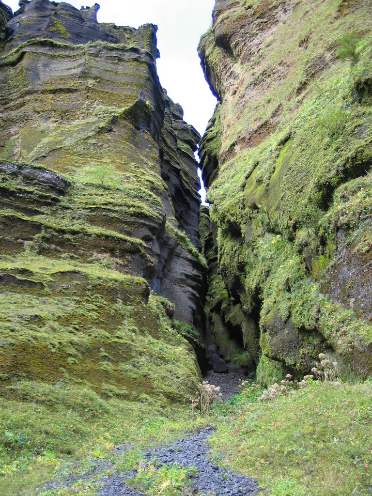 IMG_2013.JPG