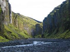 IMG_2011.JPG