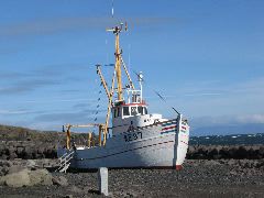 IMG_2115.JPG